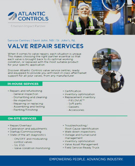 Download our Valve Repair Services Brochure